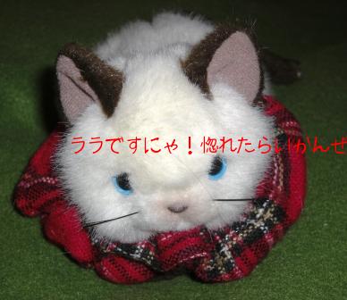 圧モデル猫ララちゃん.jpg