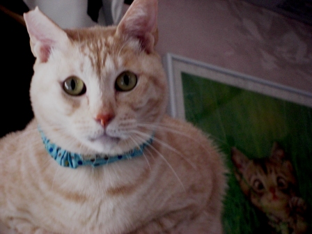 モカまりあと宗次郎 019.JPG