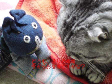 モカまりあと宗次郎 023.JPG