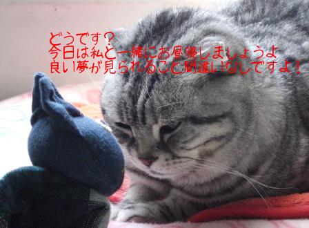 モカまりあと宗次郎 026.JPG