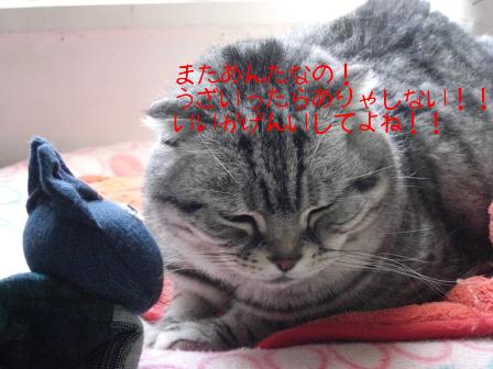 モカまりあと宗次郎 025.JPG