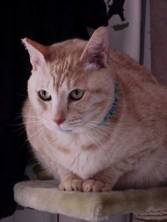 モカまりあと宗次郎 018.JPG