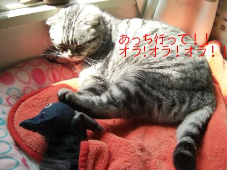 モカまりあと宗次郎 035.JPG