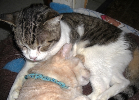 モカまりあ絆 007.JPG