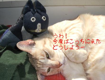 モカまりあと宗次郎 003.JPG