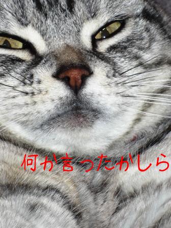 モカまりあ 043.JPG