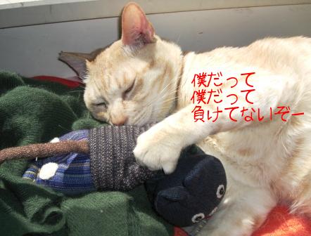 モカまりあと宗次郎 004.JPG