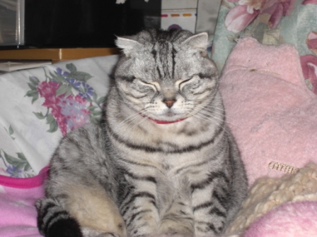 まりあ　おすわり