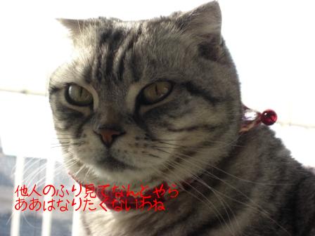 モカまりあ 049.JPG