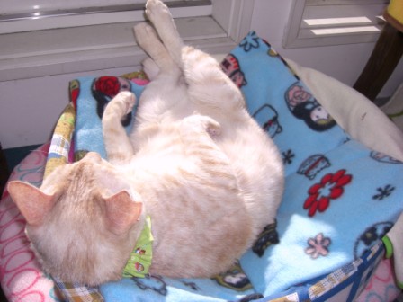 モカまりあ 011.JPG