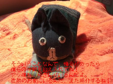 モカまりあ花と宗次郎 004.JPG