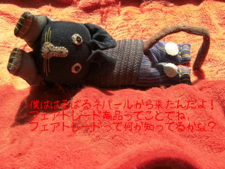 モカまりあ花と宗次郎 007.JPG