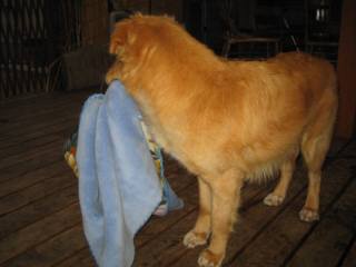 僕の毛布ぅ～～～～♪