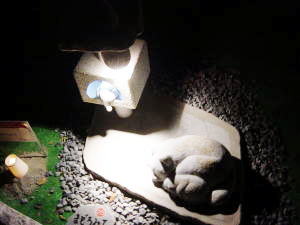 ネコが2匹・・・見えますか？