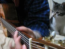 ギターななっち