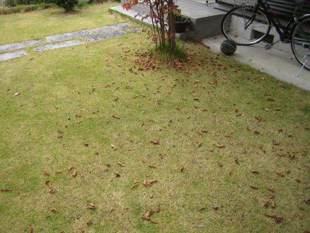 落ちはじめた…