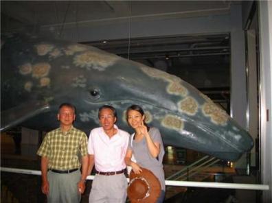 鯨博物館