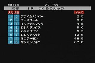 201008ozz.jpg