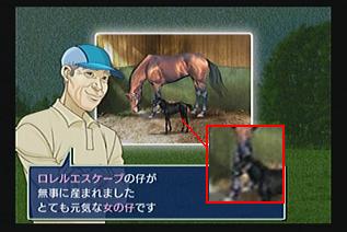 頭絡馬具00.JPG