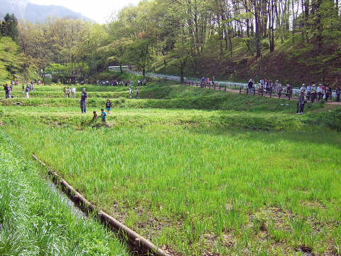 10042903.jpg