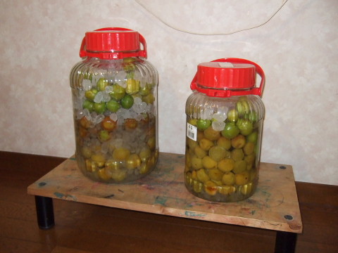 09061303.jpg
