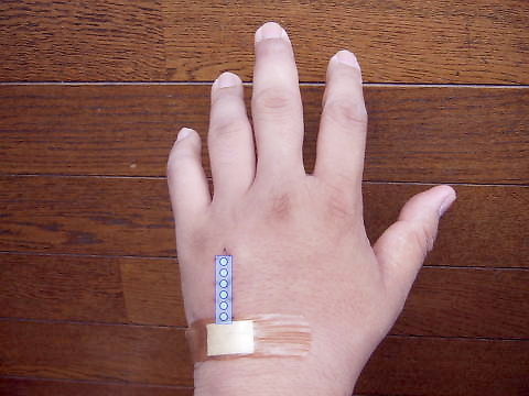 09061902.jpg