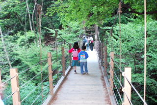 つり橋
