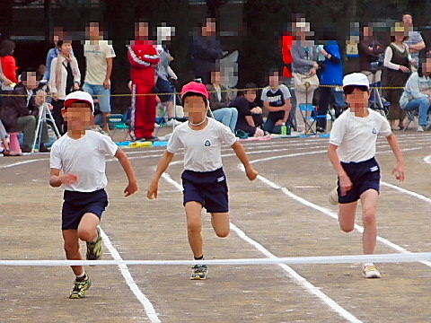 10060504.jpg