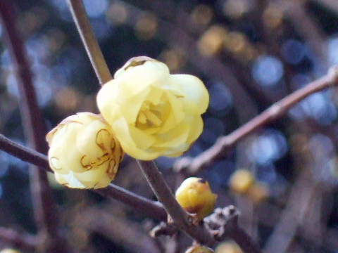 08011905.jpg