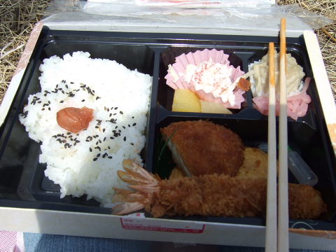 08032304.jpg