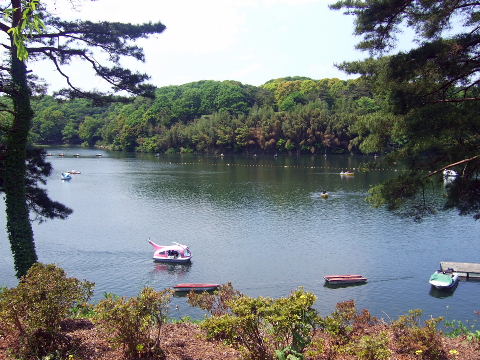 07050402.jpg