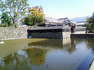 2008-10-16 10:38:09