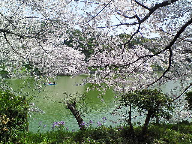 2008-04-03 16:08:25