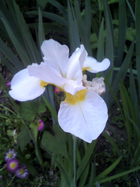2010-05-16 18:12:51