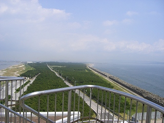 chiba2