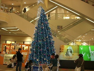 2007117 006.jpg