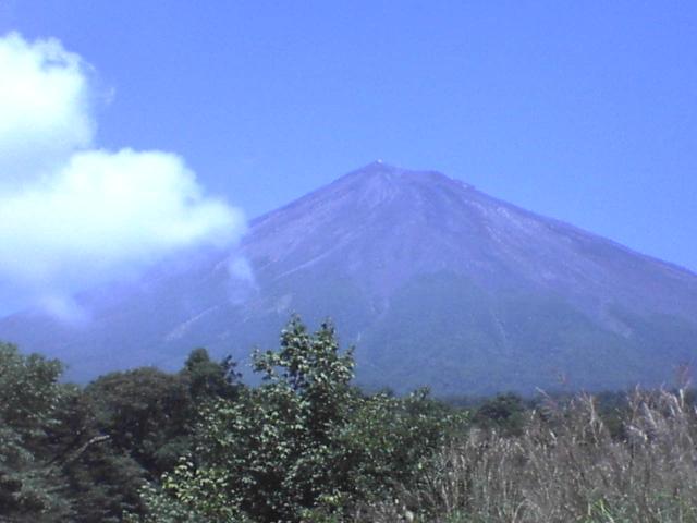 DSC01694.JPG