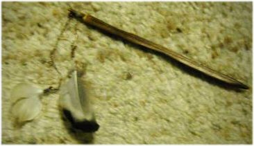 羽のかんざし　これもチェーンで