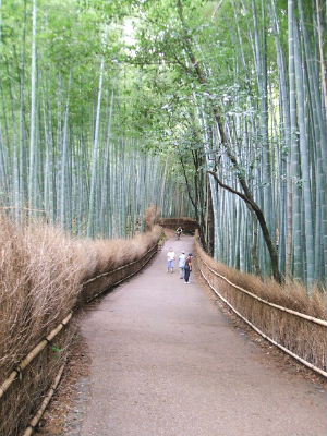 そうだっ、京都に行こう！