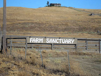 farm sanctuary