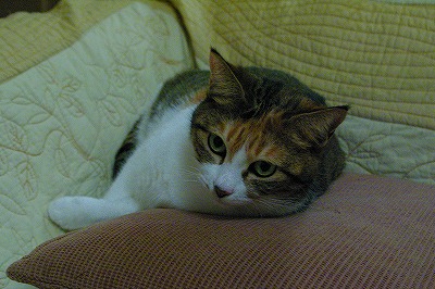 20070207-41