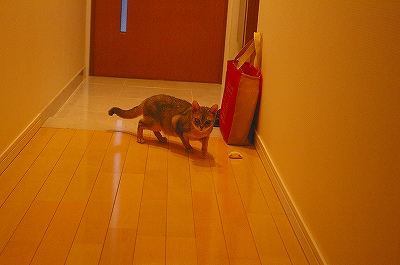 20070120-75
