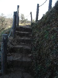 登山道