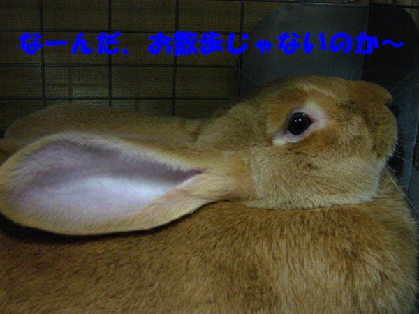 3番