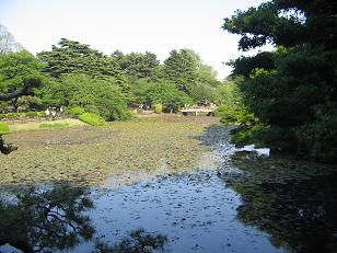 新宿御苑