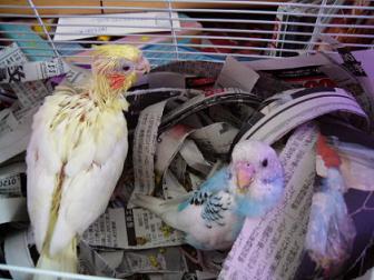 はじめまして♪