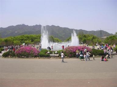 ソウル大公園３