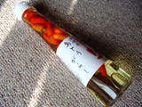 koregusu01