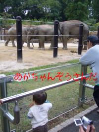 上野動物園４