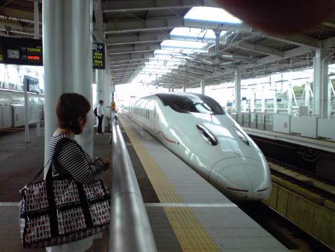 やっぱり・・鳥じゃないなぁ